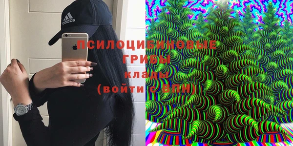 гидропоника Инсар