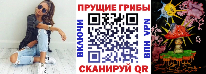 Псилоцибиновые грибы Psilocybe  Купить  Ливны 